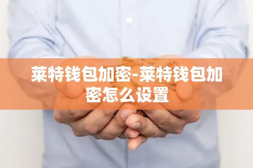 莱特钱包加密-莱特钱包加密怎么设置