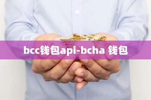 bcc钱包api-bcha 钱包