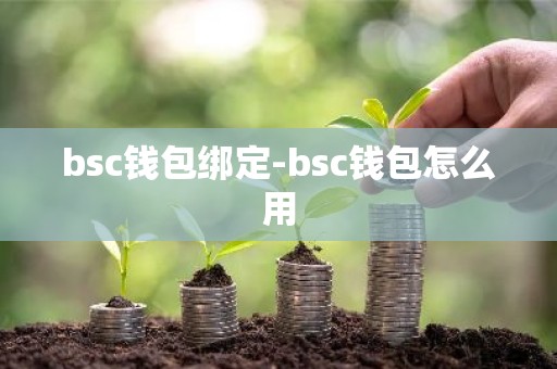 bsc钱包绑定-bsc钱包怎么用