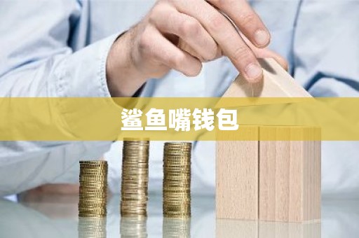 鲨鱼嘴钱包