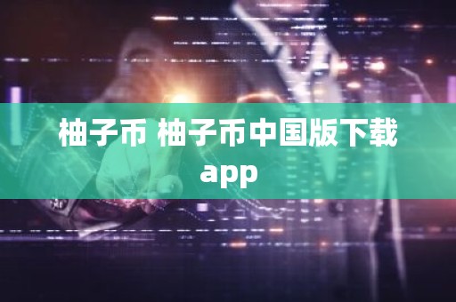 柚子币 柚子币中国版下载app