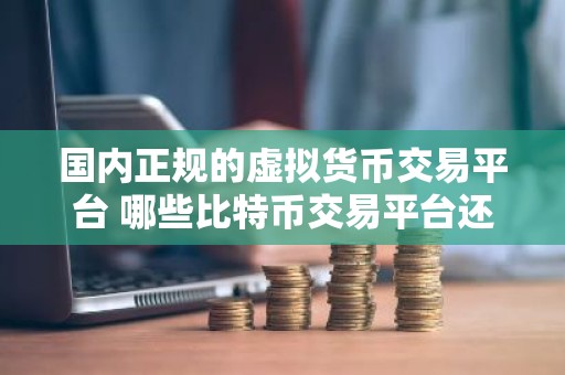 国内正规的虚拟货币交易平台 哪些比特币交易平台还可以用