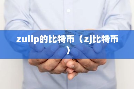 zulip的比特币（zj比特币）