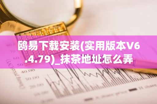 鸥易下载安装(实用版本V6.4.79)_抹茶地址怎么弄