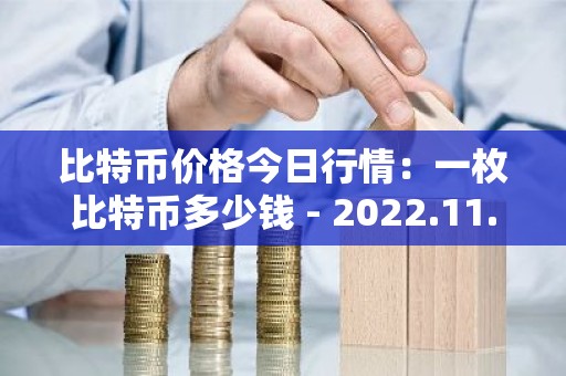 比特币价格今日行情：一枚比特币多少钱 - 2022.11.10