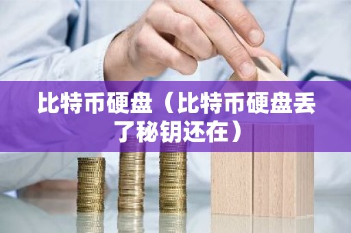 比特币硬盘（比特币硬盘丢了秘钥还在）