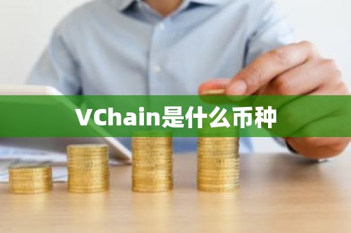 VChain是什么币种