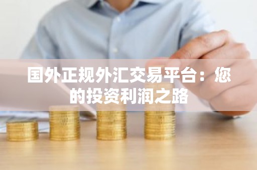 国外正规外汇交易平台：您的投资利润之路
