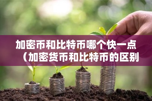 加密币和比特币哪个快一点（加密货币和比特币的区别）