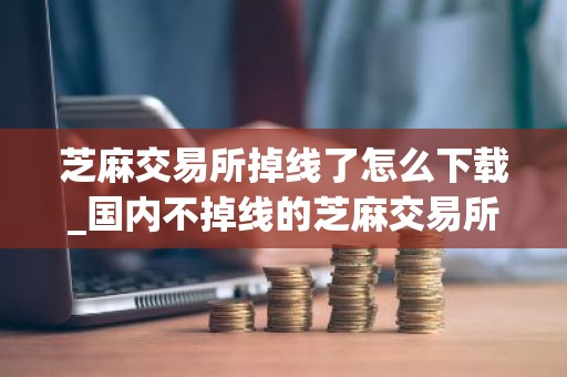 芝麻交易所掉线了怎么下载_国内不掉线的芝麻交易所虚拟货币交易平台