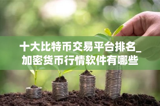 十大比特币交易平台排名_加密货币行情软件有哪些