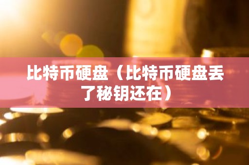 比特币硬盘（比特币硬盘丢了秘钥还在）