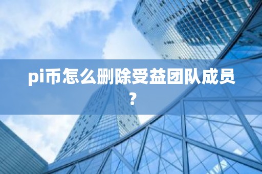 pi币怎么删除受益团队成员？