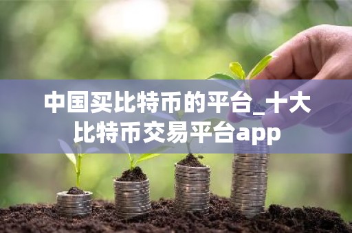 中国买比特币的平台_十大比特币交易平台app