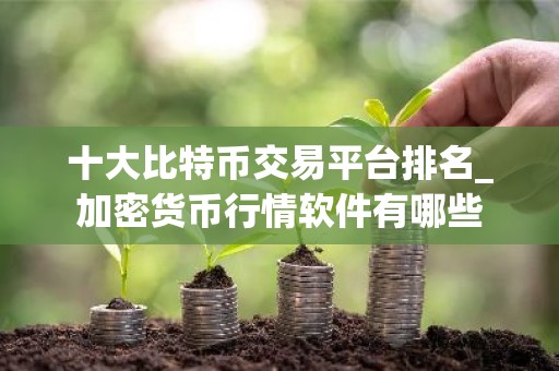 十大比特币交易平台排名_加密货币行情软件有哪些
