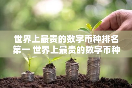 世界上最贵的数字币种排名第一 世界上最贵的数字币种排名第一