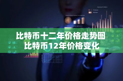 比特币十二年价格走势图 比特币12年价格变化