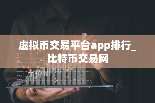 虚拟币交易平台app排行_比特币交易网
