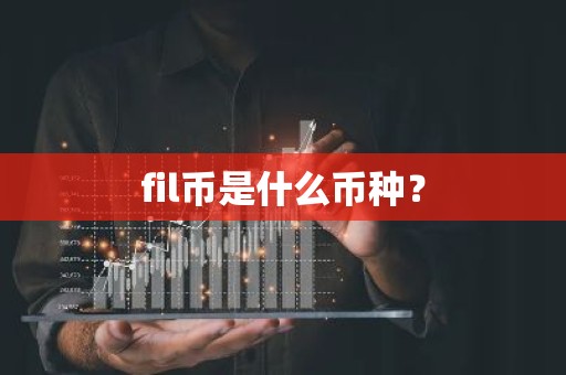fil币是什么币种？