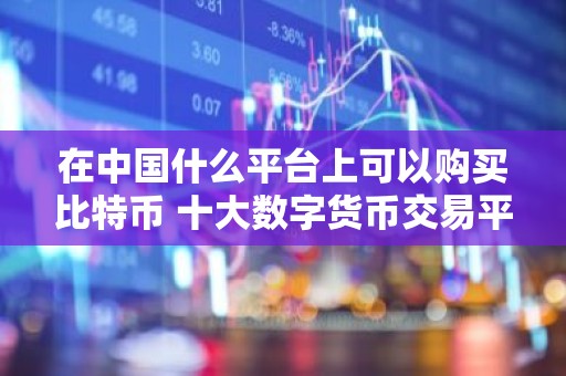 在中国什么平台上可以购买比特币 十大数字货币交易平台