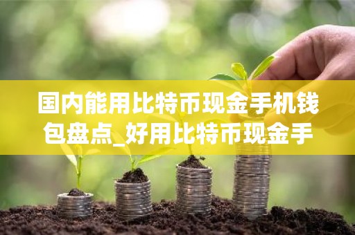 国内能用比特币现金手机钱包盘点_好用比特币现金手机钱包排行榜2026年