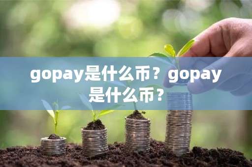 gopay是什么币？gopay是什么币？