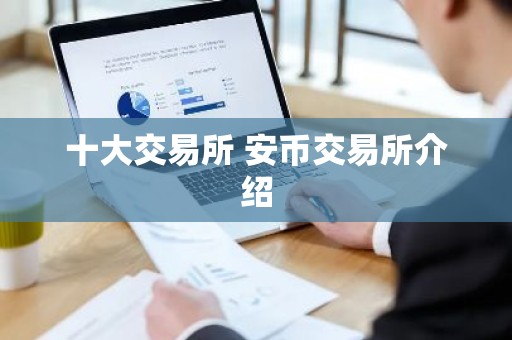 十大交易所 安币交易所介绍