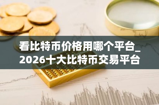 看比特币价格用哪个平台_2026十大比特币交易平台