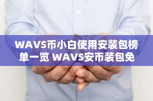 WAVS币小白使用安装包榜单一览 WAVS安币装包免费正规十大盘点