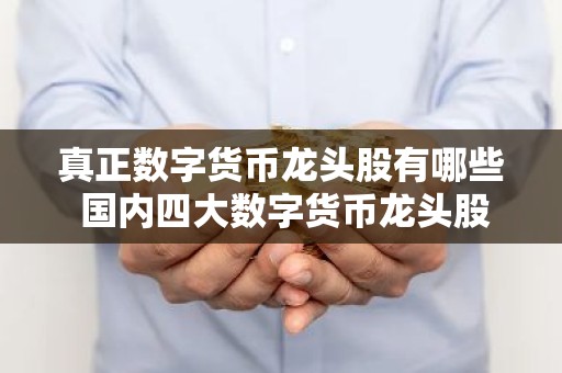 真正数字货币龙头股有哪些 国内四大数字货币龙头股一览
