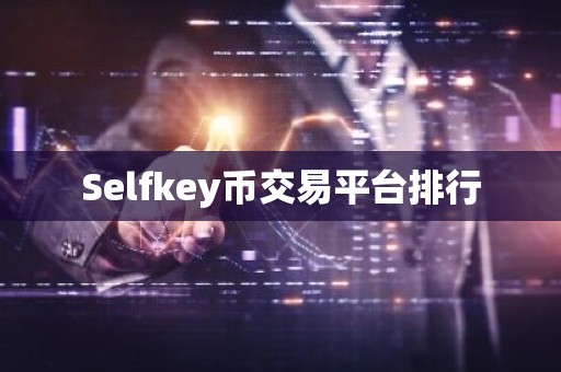 Selfkey币交易平台排行