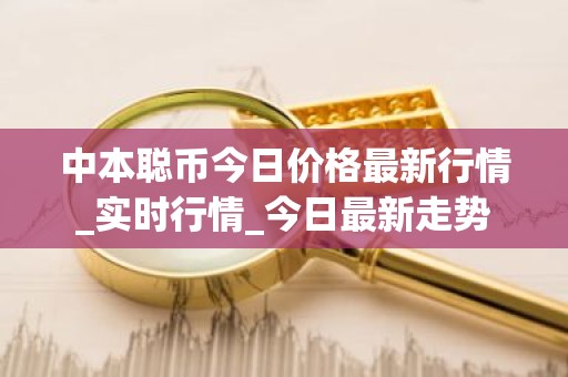 中本聪币今日价格最新行情_实时行情_今日最新走势