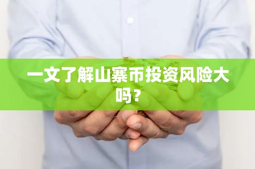 一文了解山寨币投资风险大吗？