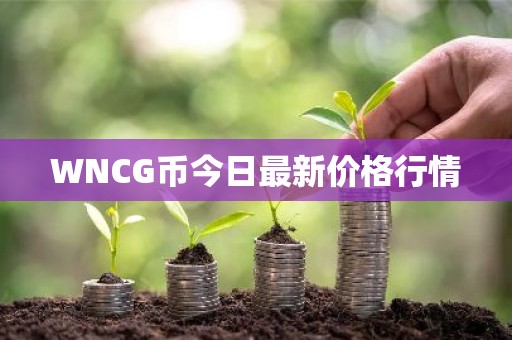 WNCG币今日最新价格行情