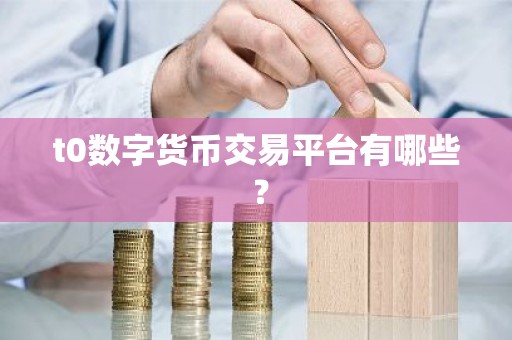 t0数字货币交易平台有哪些 ？