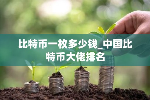 比特币一枚多少钱_中国比特币大佬排名