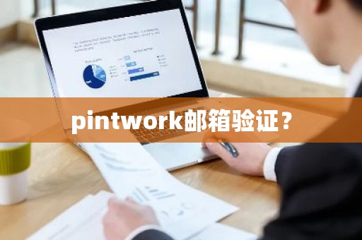 pintwork邮箱验证？