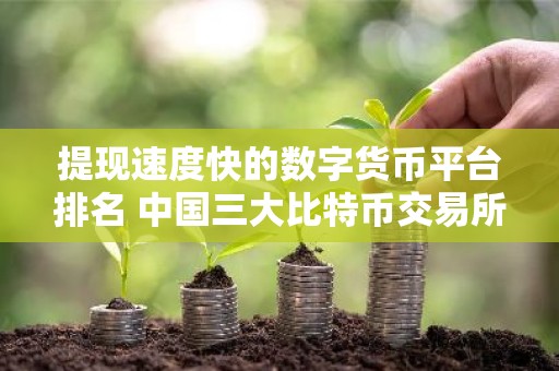 提现速度快的数字货币平台排名 中国三大比特币交易所