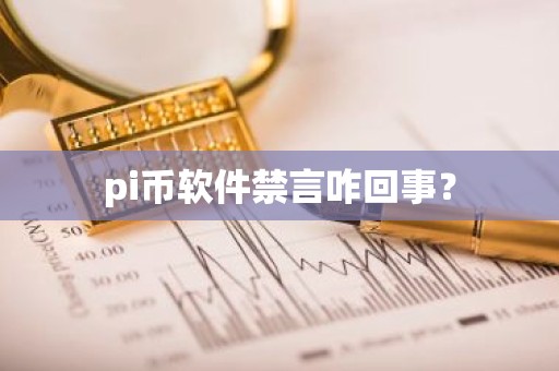 pi币软件禁言咋回事？