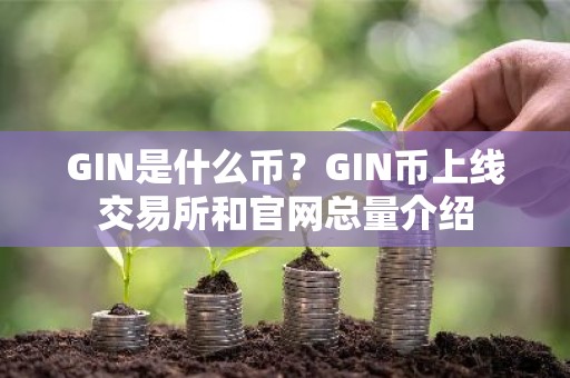 GIN是什么币？GIN币上线交易所和官网总量介绍