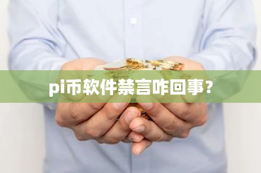 pi币软件禁言咋回事？