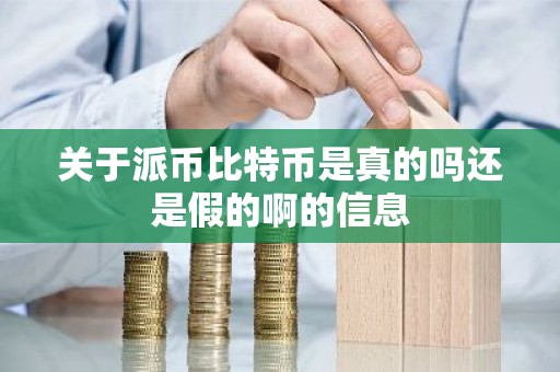 关于派币比特币是真的吗还是假的啊的信息
