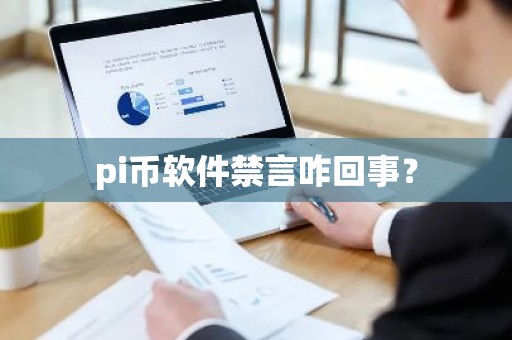 pi币软件禁言咋回事？