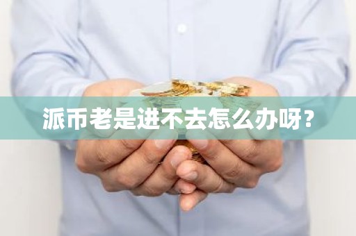 派币老是进不去怎么办呀？