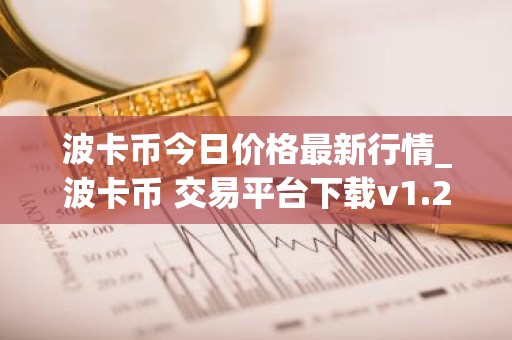 波卡币今日价格最新行情_波卡币 交易平台下载v1.25.2