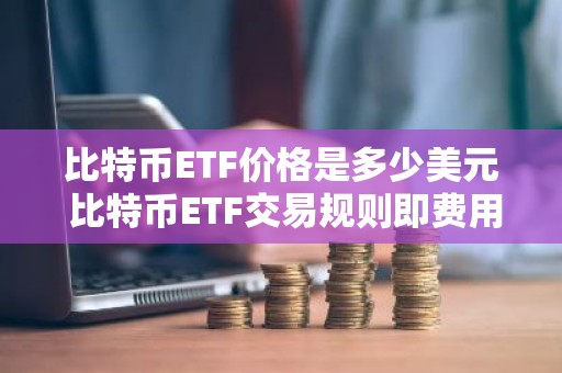 比特币ETF价格是多少美元 比特币ETF交易规则即费用一览