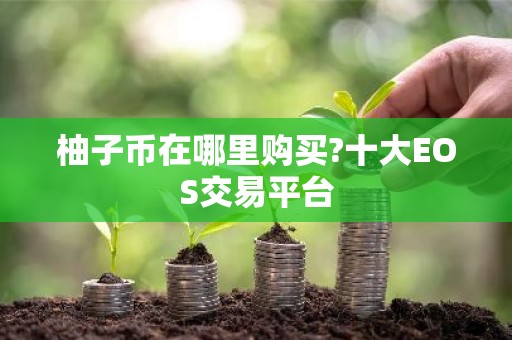 柚子币在哪里购买?十大EOS交易平台