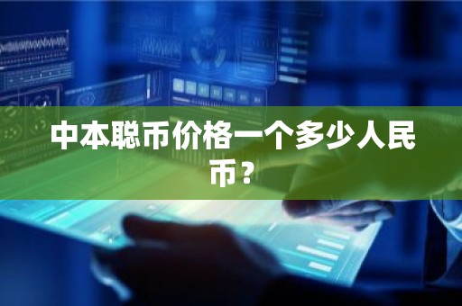 中本聪币价格一个多少人民币？