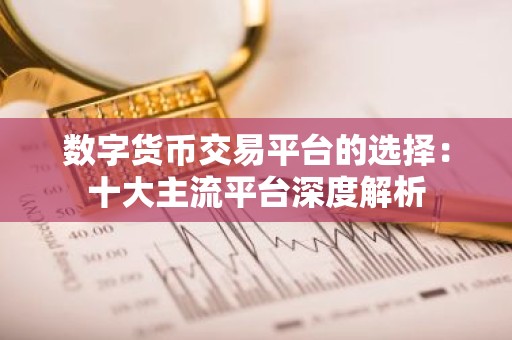 数字货币交易平台的选择：十大主流平台深度解析