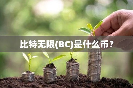 比特无限(BC)是什么币？